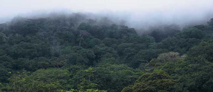 Republic of Congo's flag
